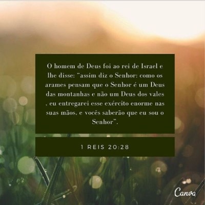1 Reis 20:28