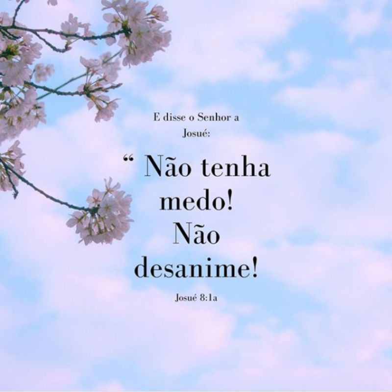 Josué 8:1