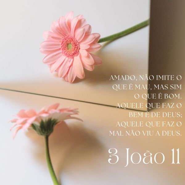 3 João 11