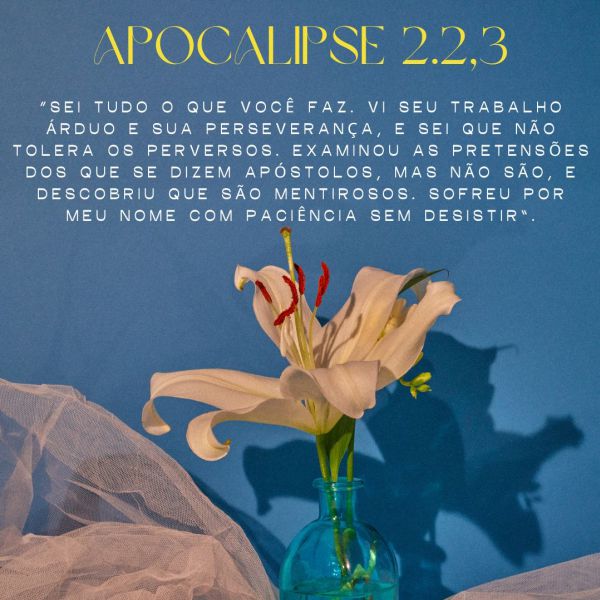 Apocalipse 2:2-3